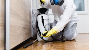 Trusted Redondo Beach, CA Pest control Experts